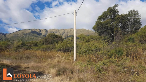 Imagen 11 de 30 de Carpintería, Lotes De 5000 M2