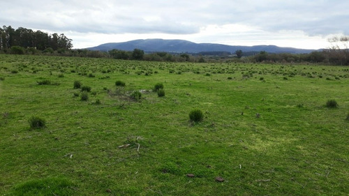 Campo De 6 Has 932 M 2 Ubicado En Ruta 60