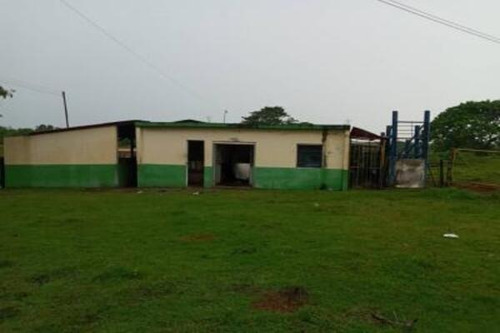 Imagen 1 de 8 de Finca Venta Rio Negro Municipio Machiques De Perija Mdm