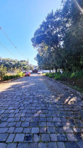 Imagem 3 de 3 de Terreno - Ana Rech - Ref: 8475 - V-8475