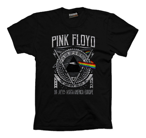 Remera Retro Vintage Pink Floyd Tour 1973 Distress Gastado 