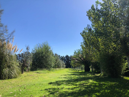 Venta. Quinta En Funes. 32.000 M2. Recomendamos