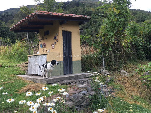 Se Vende Bella Finca De 10 Hectáreas Con Casa Colonial En Cacute Sector Santa Elena, Mérida.