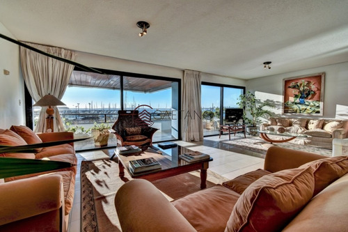 Amplio Apartamento Frente Al Puerto De Punta Del Este!!-ref:561