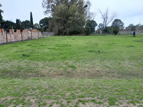 Terreno 655m2- Oportunidad Unica, Carmen De Areco