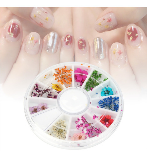 Flores Secas Flores De Uñas Románticas Para Decorar Tu