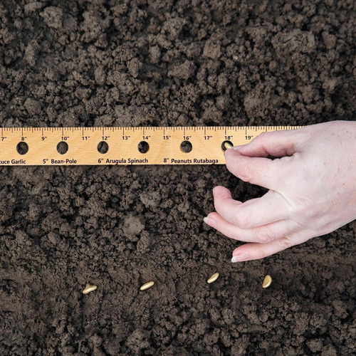 Regla De Madera Para Plantas, Set Plegable Con Agujeros