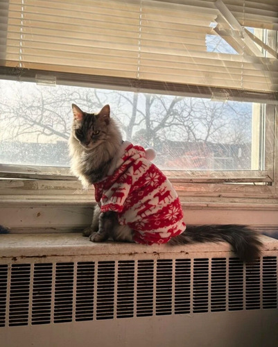Abrigo Mascota Calentito Estilo Navideño (chico) Rojo