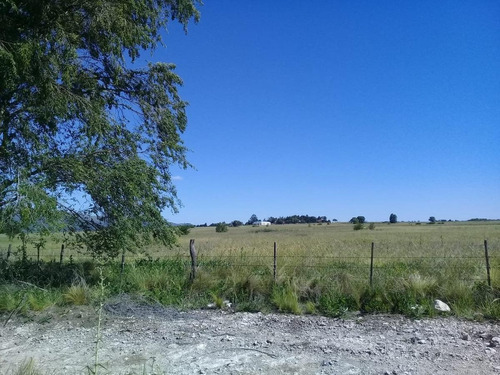 Venta  De Campo En La Cumbre