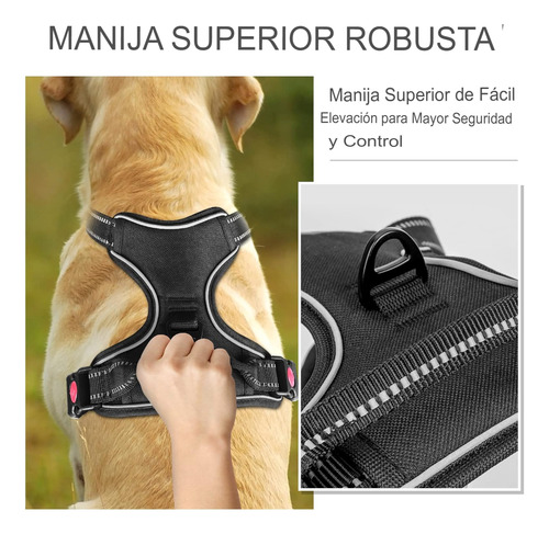 Arnes Para Perro Pechera Anti Tirones Reflectante Con Correa
