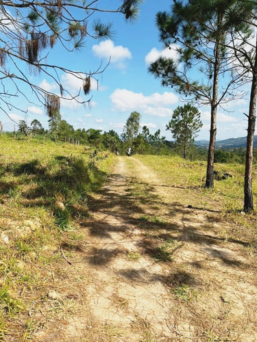 Imagem 1 de 8 de Terrenos De 600 M² A Venda Em Mairiporã