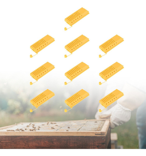10 Piezas Reina Jaulas De Abejas Suministros De Abejas