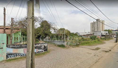 Imagem 7 de 9 de Terreno - Morro Santana - Ref: 202261 - V-202373