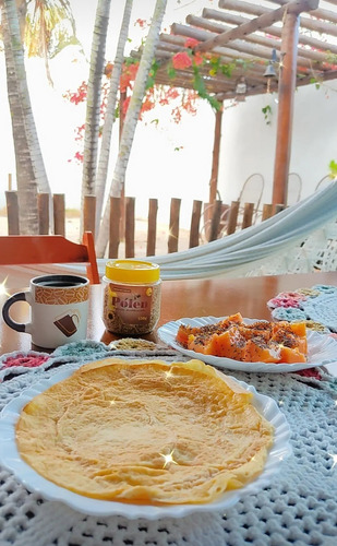 Pólen Apícola Desidratado 150g Nova Florada