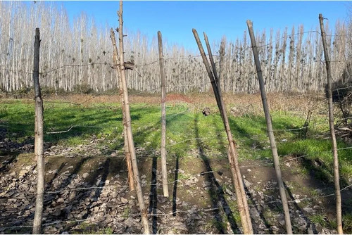 Venta De Terreno Agrícola Coltauco » Vi Región.