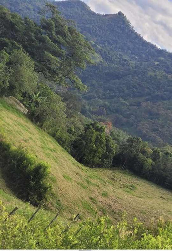 Lote 3800 Metros La Vega Cundinamarca