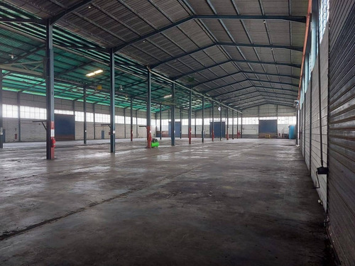 Imagen 5 de 14 de Galpón En Alquiler En Guacara