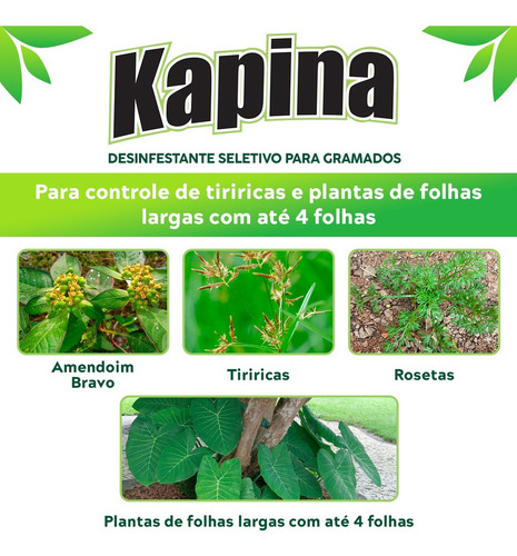 Kapina Retira Tiririca De Todas As Gramas 60ml