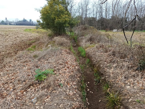Terreno Agrícola En Venta, Campo De 21 Ha, San Clemente
