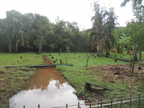 Imagem 30 de 30 de Chácara Em Jardim Paraíso Da Usina, Atibaia/sp De 1110m² 3 Quartos À Venda Por R$ 480.000,00 - Ch886993-s