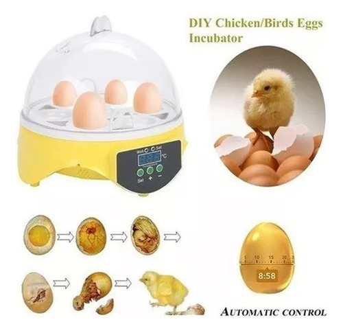 7 Ovos Mini Digital Chocadeira Elétrica Automática 110v
