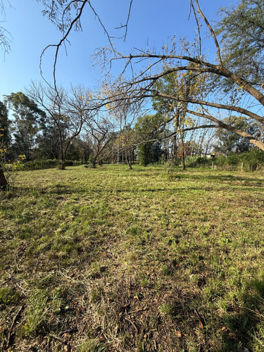 Venta - Lote - Barrio Los Pinos - Exaltación De La Cruz