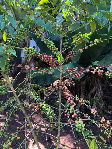 Viver Com A Natureza Não Tem Preço.