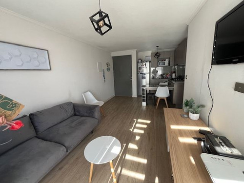 Dpto Arriendo Amoblado 2d Y 1b, Ñuñoa