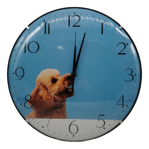 Reloj De Pared Cocina Perros Decorativo Hogar Hora
