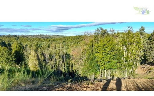 Se Vende Campo De 16 Hectareas Con Casa Y Galpon En Coquiao