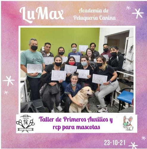Imagen 5 de 10 de Curso De Peluquería Canina Lumax
