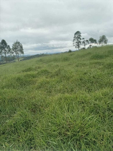 Imagem 14 de 14 de A22- Últimos Lotes Em Jacareí