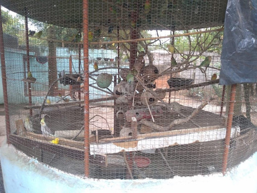 Imagem 10 de 20 de Chácara À Venda Em Jardim Santa Terezinha - Ch002112