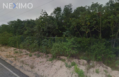 Imagen 2 de 3 de Se Vende Terreno De 10 Hectáreas En Playa Del Carmen