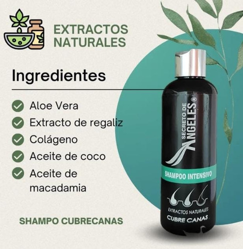 Shampoo & Capsulas Anti Canas