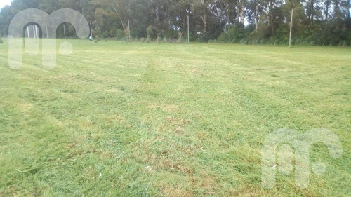 Imagen 15 de 18 de Terreno - Arana