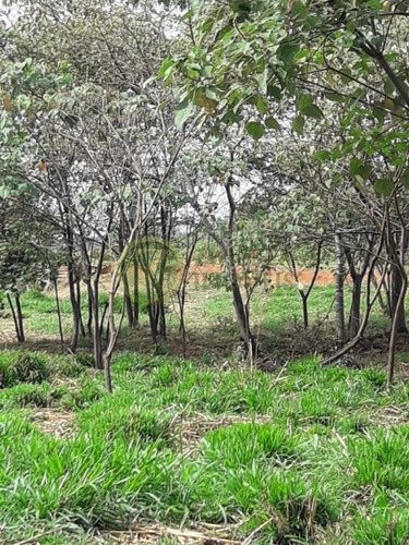 Imagem 14 de 30 de Lindíssima Chácara Bauru-marília Com 20.895 Metros - Ch00150