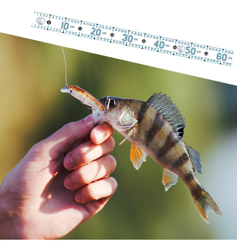 2 Regla De Medición De Peces Regla De Pesca B