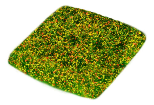 Terreno En Miniatura Tuft Estático Tuft Falso Amarillo