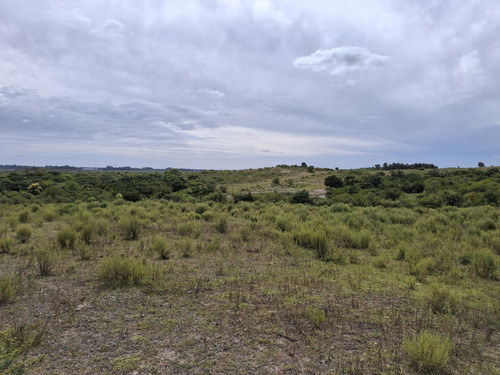 Venta De Chacra Rincón De Melilla 3.5ha !!!