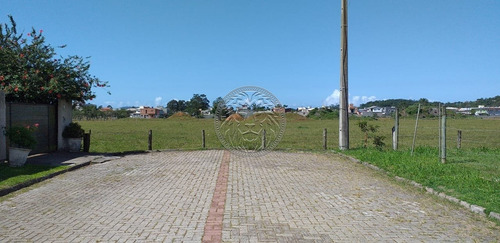 Imagem 12 de 15 de Terreno - Ribeirao Da Ilha - Ref: 2213 - V-2250
