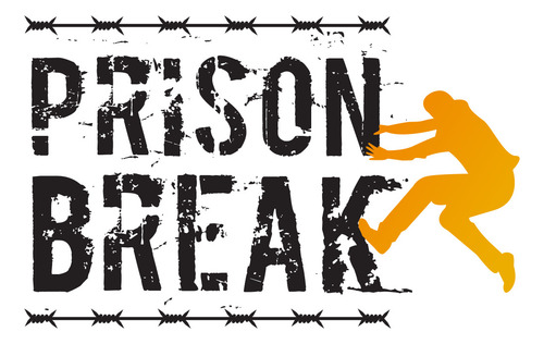 3 Series Alias 1era Temporada+ Csi 1era + Prision Break 2nda (Usado)
