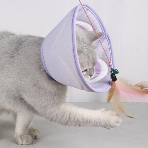 Collar De Cono Para Gato, Collar De Recuperación Para M