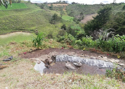 Imagen 8 de 9 de Finca En Venta San Vicente Ferrer Vía Concepción Hsz