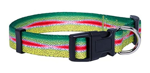 Collar De Perro De Pescado- Patrones De Trucha Arcoiris Y Tr