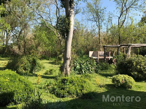 Imagen 13 de 25 de Venta Chacra San Miguel Del Monte