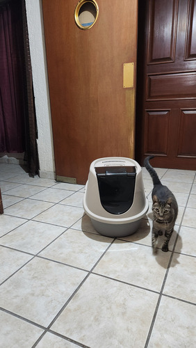 Arenero Caja De Arena Grande Con Tapa Capucha Para Gatos Gde Color Gris