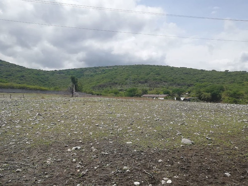 Imagen 4 de 9 de Terreno A Pie De Carretera Federal Cvaca/yautepec
