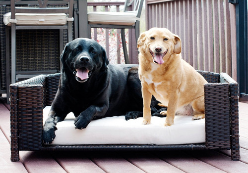 Cama Rectangular De Ratán Para Mascotas Sofá Resistente Al A
