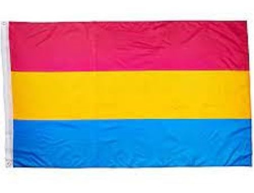 2pines Bandera Lgtb Pansexual 1.50 X 90 Cm 2pines Bandera Lgtb Pansexual 1.50 X 90 Cm